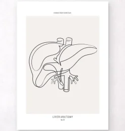 Anatomie du foie - Line Art-Codex Anatomicus Discount