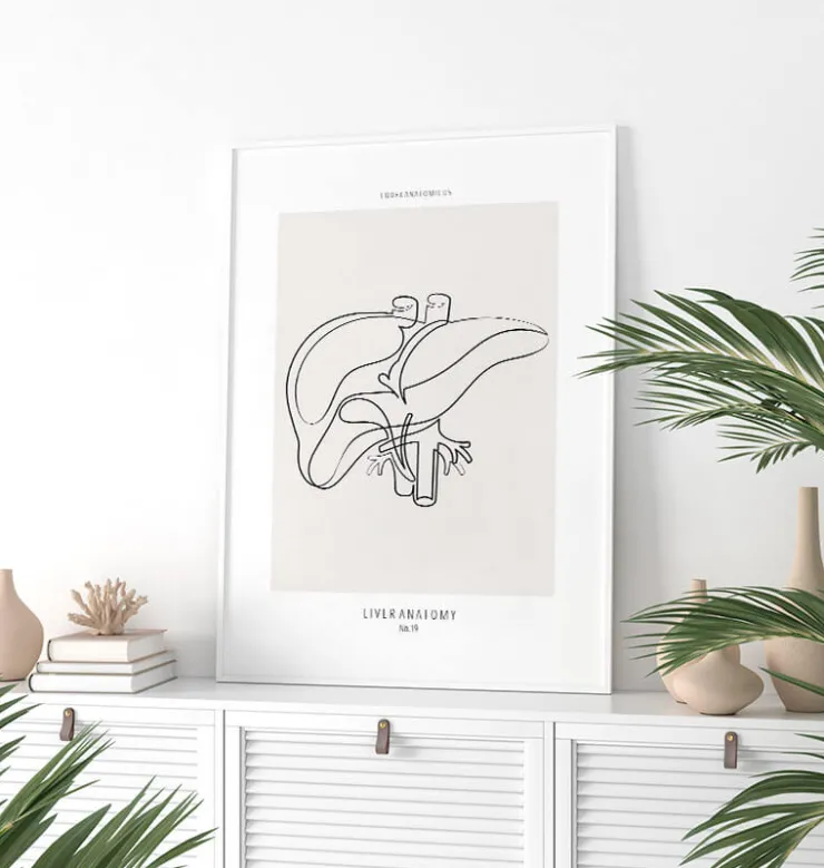 Anatomie du foie - Line Art-Codex Anatomicus Discount