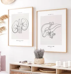 Anatomie du foie - Line Art-Codex Anatomicus Discount