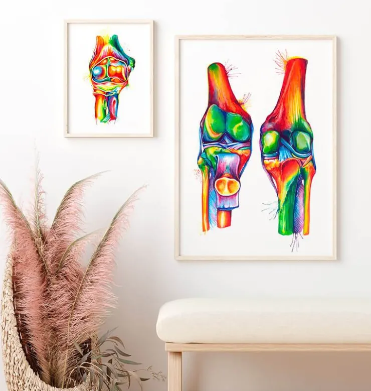 Anatomie du genou - Aquarelle-Codex Anatomicus