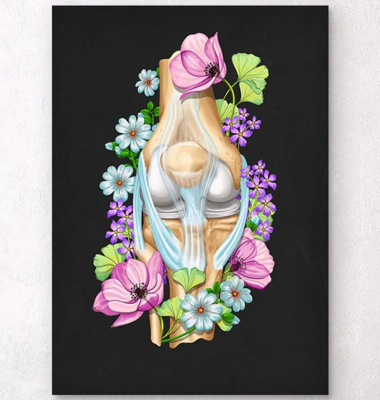 Anatomie du genou - Floral - Noir-Codex Anatomicus Best