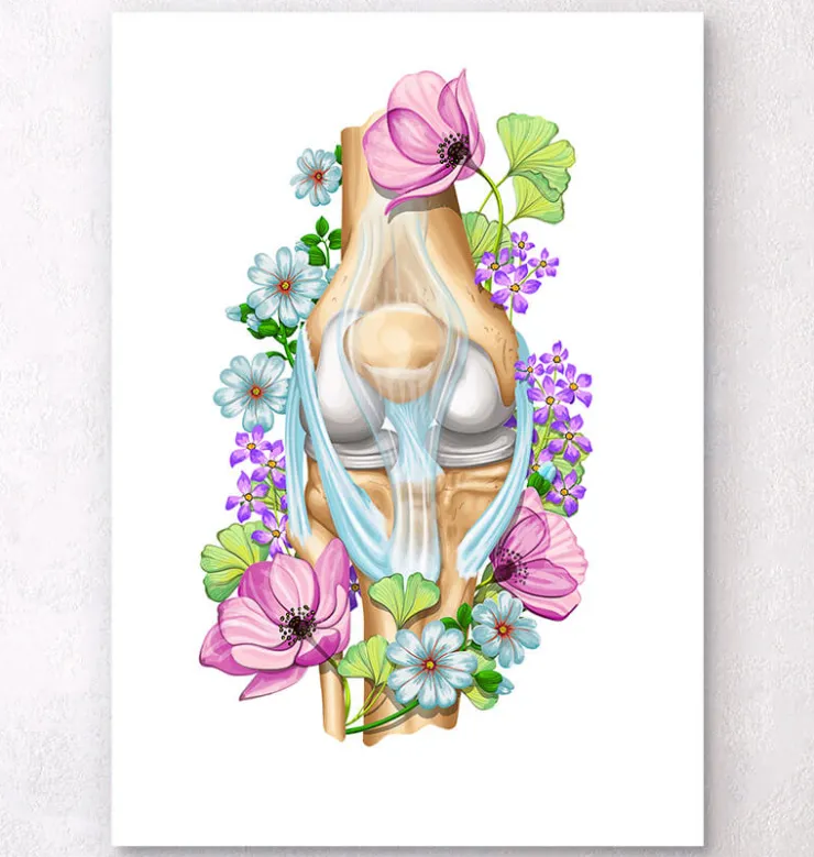 Anatomie du genou - Floral - Blanc-Codex Anatomicus Online