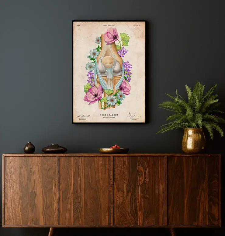 Anatomie du genou - Floral - Vintage-Codex Anatomicus Hot