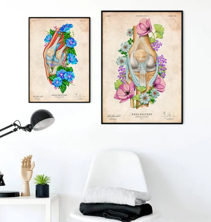 Anatomie du genou II - Floral - Vintage-Codex Anatomicus Clearance