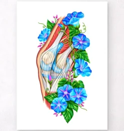 Anatomie du genou II - Floral - Blanc-Codex Anatomicus Outlet