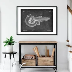 Anatomie du pancréas - Chalkboard-Codex Anatomicus Clearance