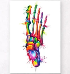 Anatomie du pied - Aquarelle-Codex Anatomicus Best