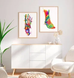 Anatomie du pied - Aquarelle-Codex Anatomicus Best