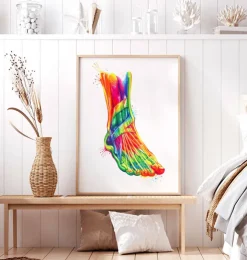 Anatomie du pied et de la cheville - Aquarelle-Codex Anatomicus Hot