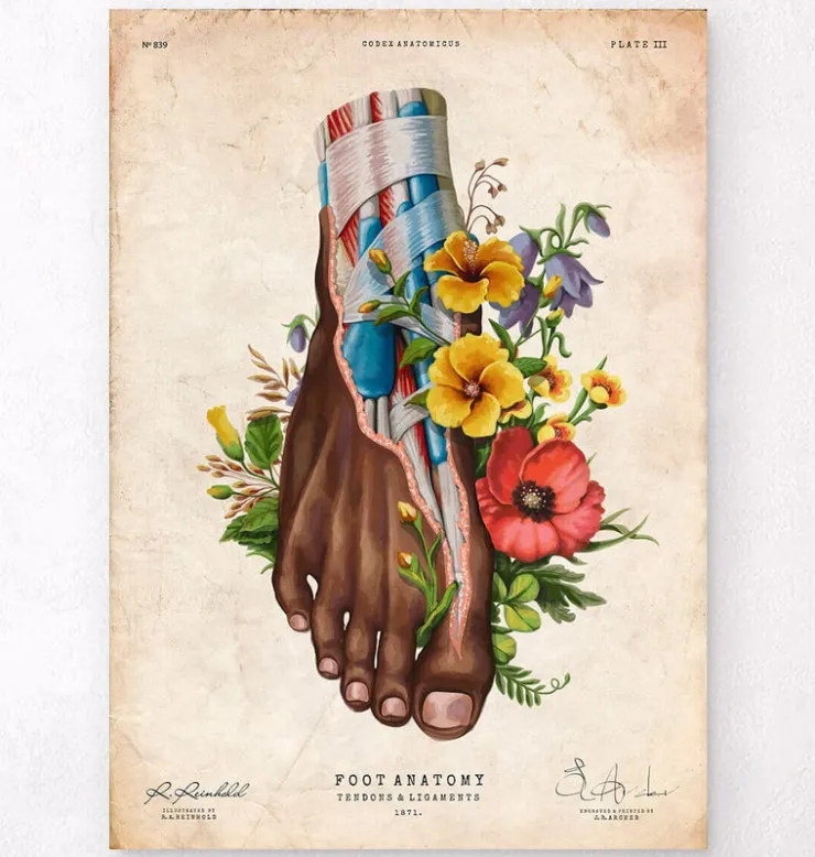 Anatomie du pied II - Floral - Vintage-Codex Anatomicus