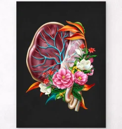 Anatomie du placenta - Floral - Noir-Codex Anatomicus New