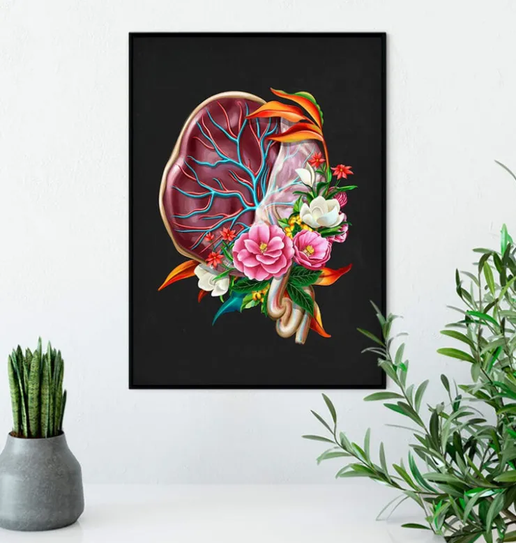 Anatomie du placenta - Floral - Noir-Codex Anatomicus New