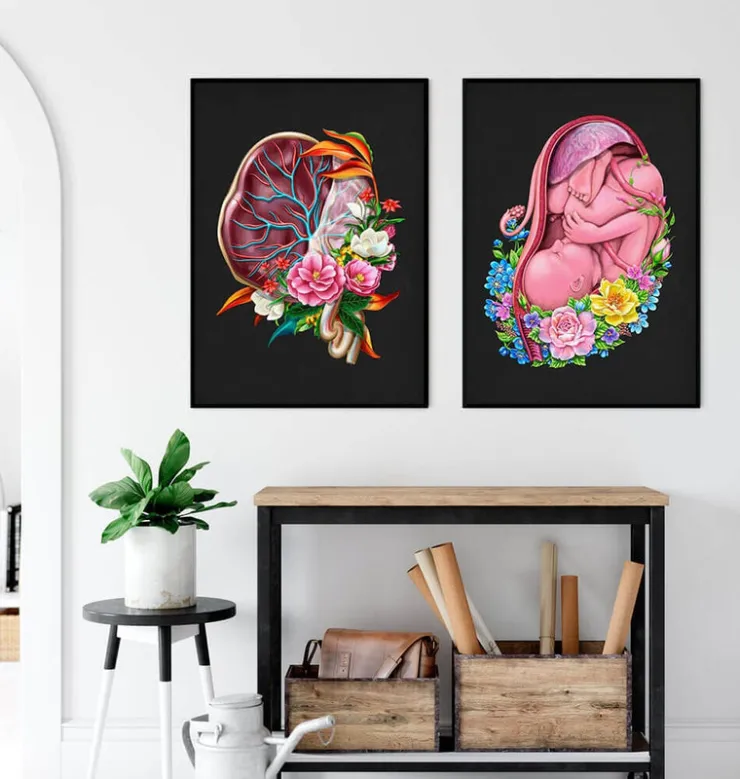 Anatomie du placenta - Floral - Noir-Codex Anatomicus New