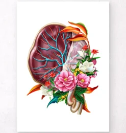 Anatomie du placenta - Floral - Blanc-Codex Anatomicus Clearance