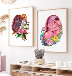 Anatomie du placenta - Floral - Blanc-Codex Anatomicus Clearance
