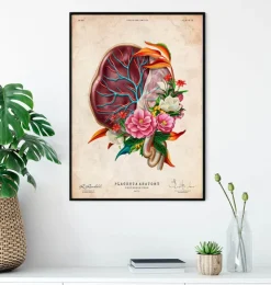Anatomie du placenta - Floral - Vintage-Codex Anatomicus Online