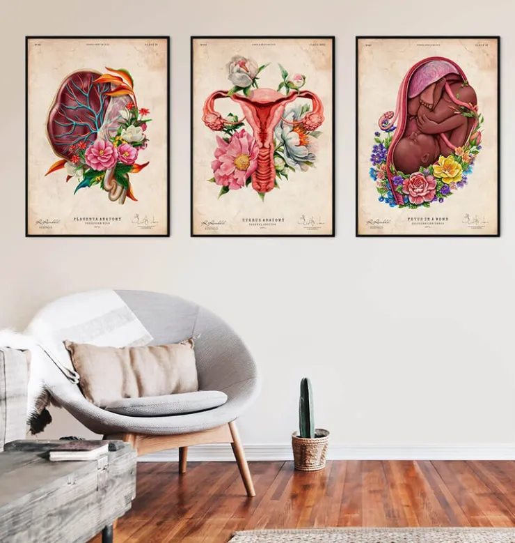 Anatomie du placenta - Floral - Vintage-Codex Anatomicus Online