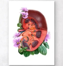 Anatomie du rein - Aquarelle florale - Blanc-Codex Anatomicus Discount