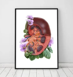 Anatomie du rein - Aquarelle florale - Blanc-Codex Anatomicus Discount
