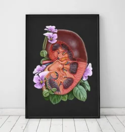 Anatomie du rein - Floral - Noir-Codex Anatomicus Clearance