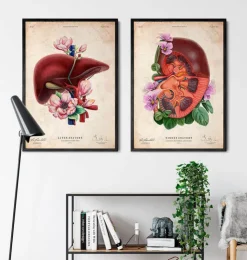 Anatomie du rein - Floral - Vieux papier-Codex Anatomicus
