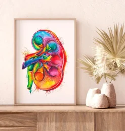 Anatomie du rein gauche - Aquarelle-Codex Anatomicus Sale
