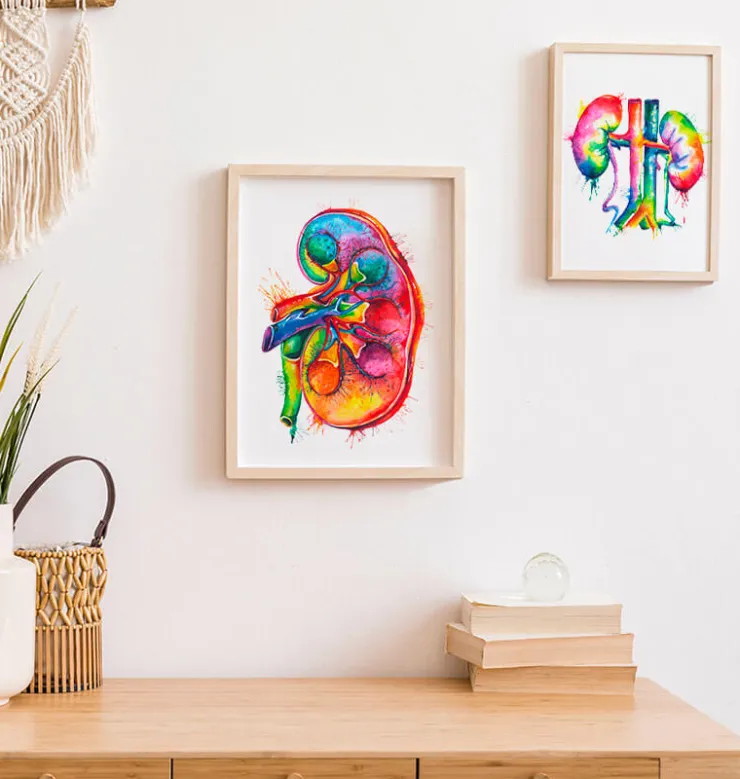 Anatomie du rein gauche - Aquarelle-Codex Anatomicus Sale