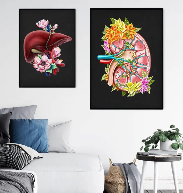 Anatomie du rein II - Floral - Noir-Codex Anatomicus Discount