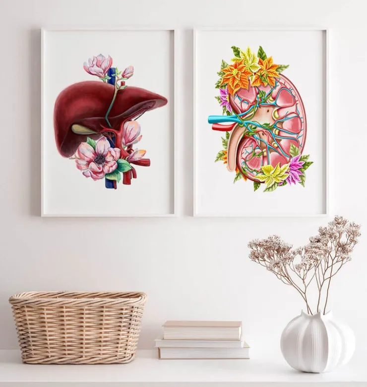 Anatomie du rein II - Floral - Blanc-Codex Anatomicus Sale