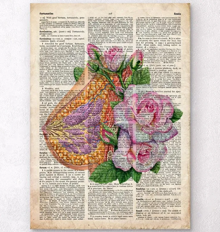 Anatomie du sein - Ancien dictionnaire-Codex Anatomicus Outlet