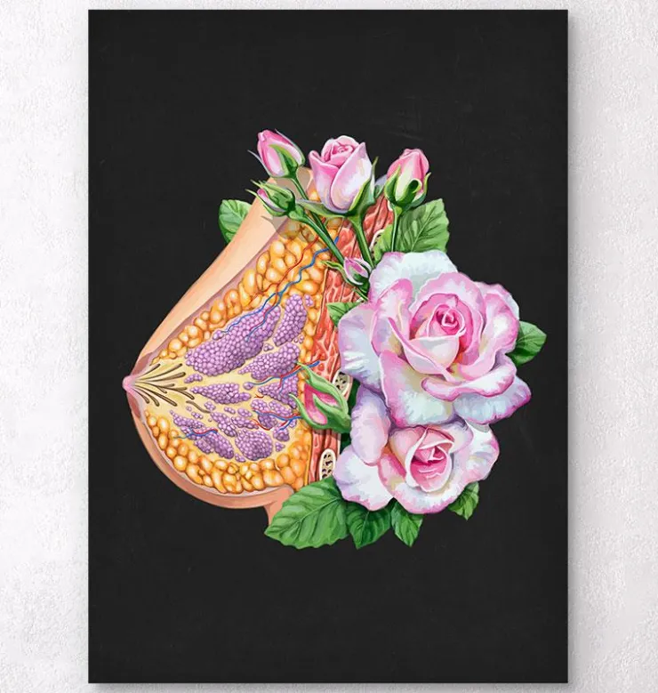 Anatomie du sein - Floral - Noir-Codex Anatomicus Sale