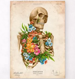 Anatomie du squelette - Floral - Vintage-Codex Anatomicus Online