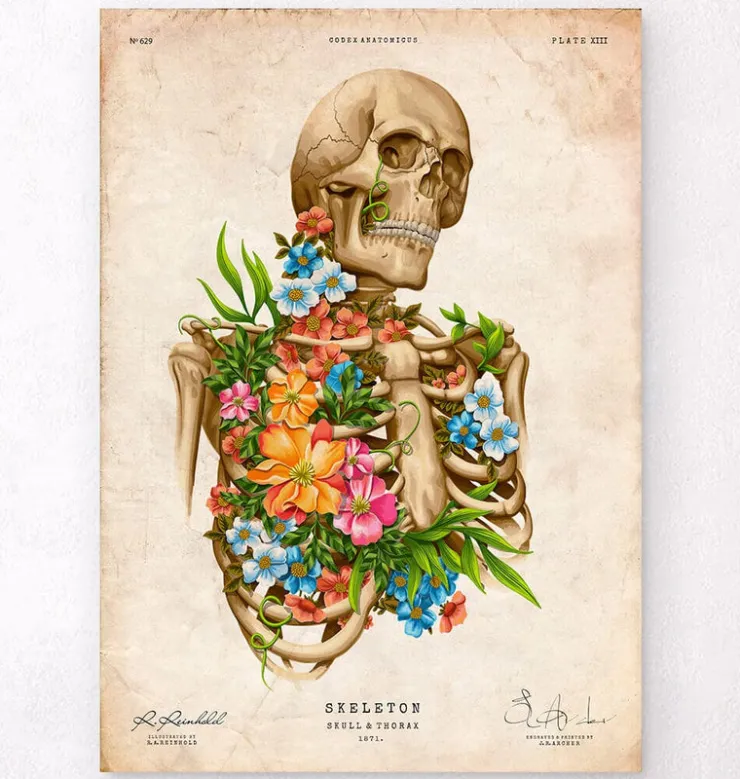 Anatomie du squelette - Floral - Vintage-Codex Anatomicus Online