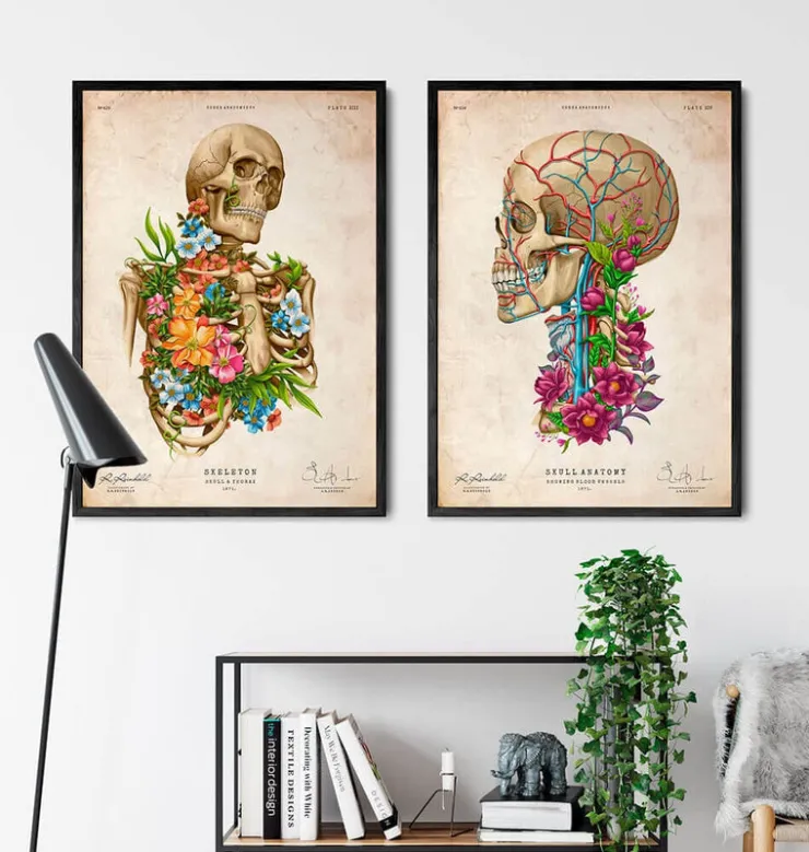 Anatomie du squelette - Floral - Vintage-Codex Anatomicus Online
