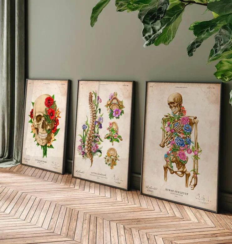 Anatomie du squelette II - Floral - Vintage-Codex Anatomicus Sale