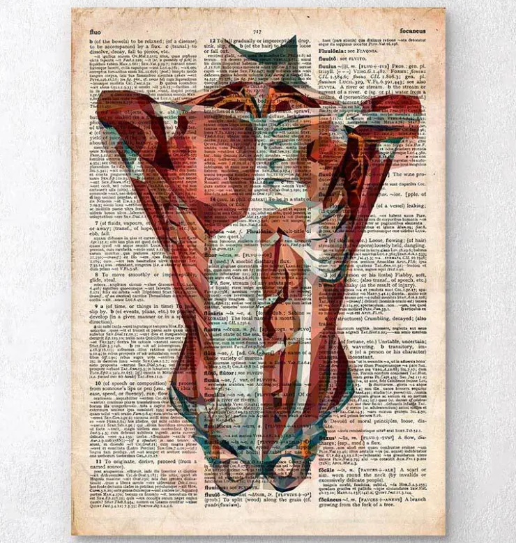 Anatomie du torse humain - Dictionnaire-Codex Anatomicus