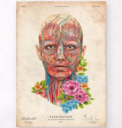 Anatomie du visage - Floral - Vintage-Codex Anatomicus New
