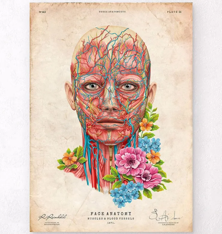 Anatomie du visage - Floral - Vintage-Codex Anatomicus New