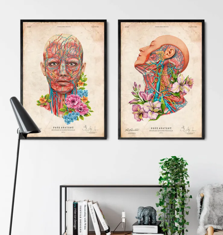 Anatomie du visage - Floral - Vintage-Codex Anatomicus New