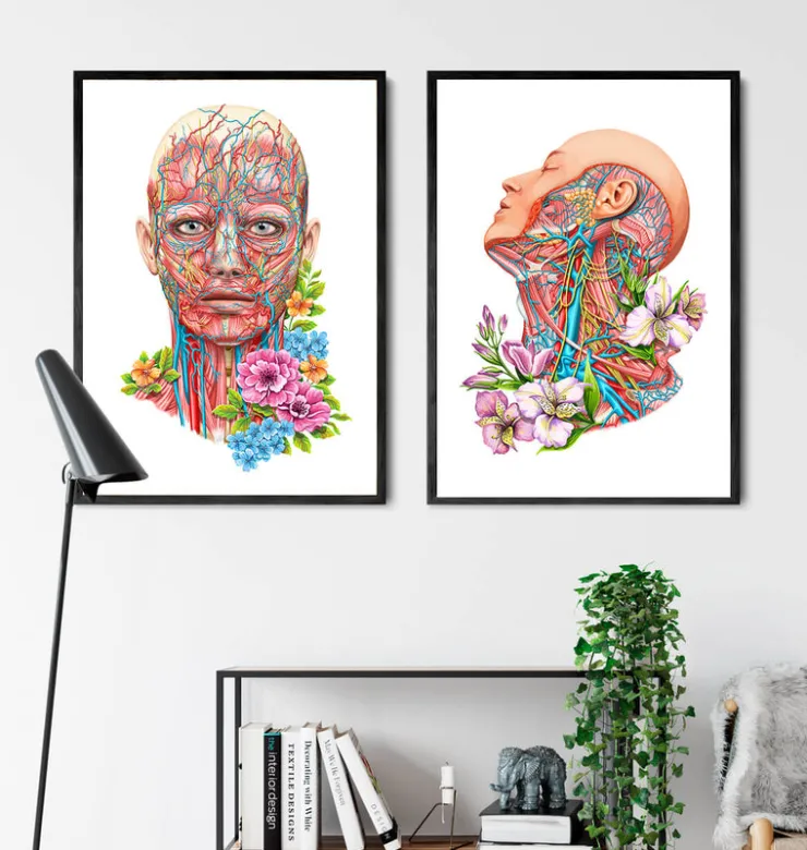 Anatomie du visage - Floral - Blanc-Codex Anatomicus Online