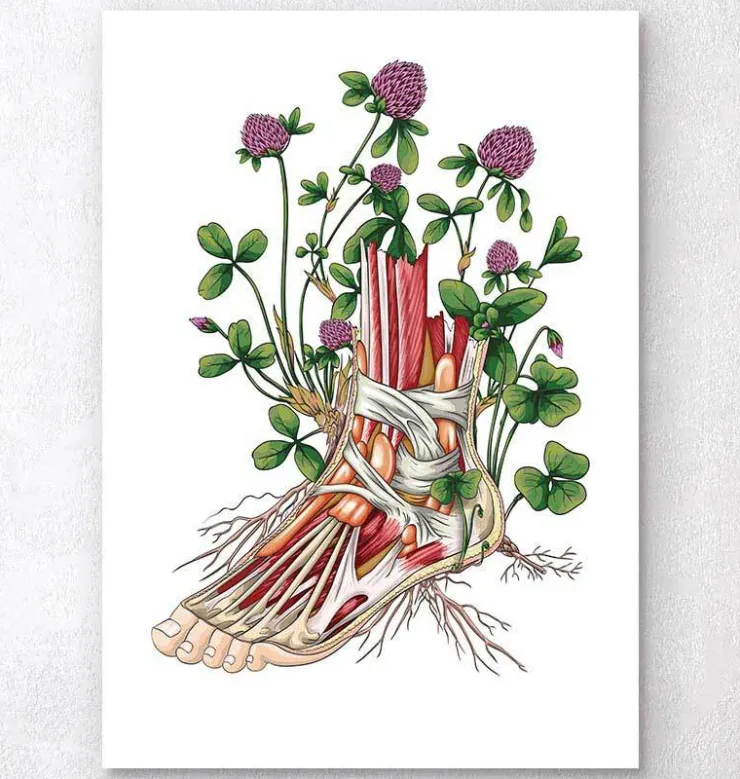 Anatomie florale du pied-Codex Anatomicus Outlet