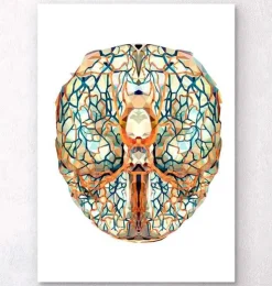 Anatomie géométrique du cerveau I-Codex Anatomicus Outlet