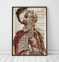 Anatomie humaine géométrique II - Ancien dictionnaire-Codex Anatomicus Discount