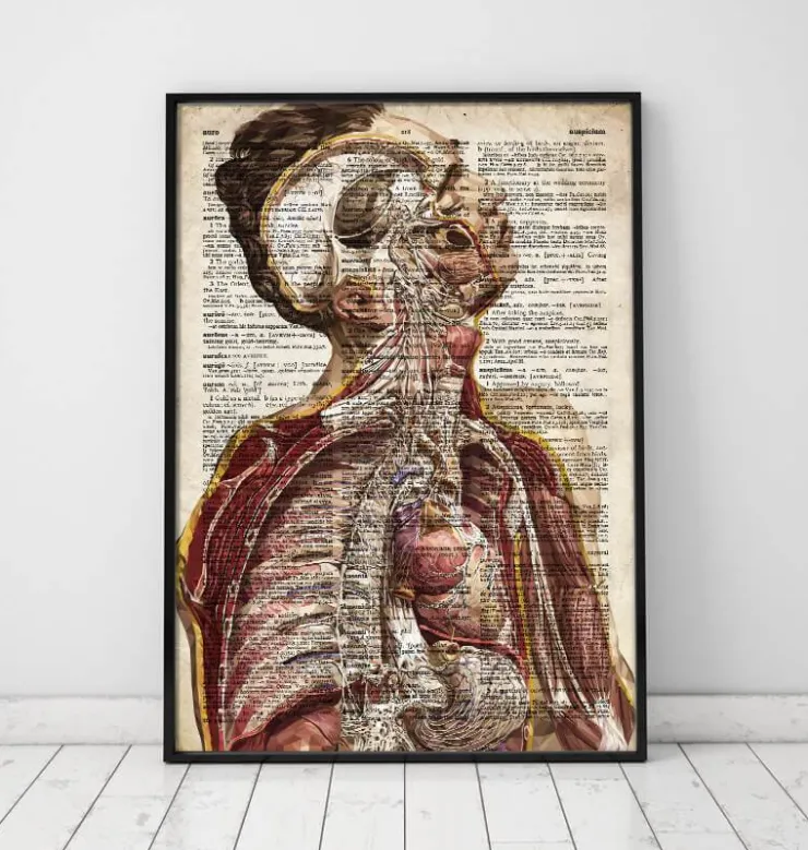 Anatomie humaine géométrique II - Ancien dictionnaire-Codex Anatomicus Discount