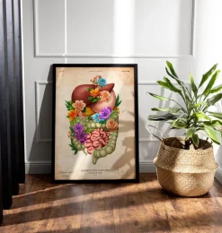 Appareil digestif - Floral - Vintage-Codex Anatomicus Outlet