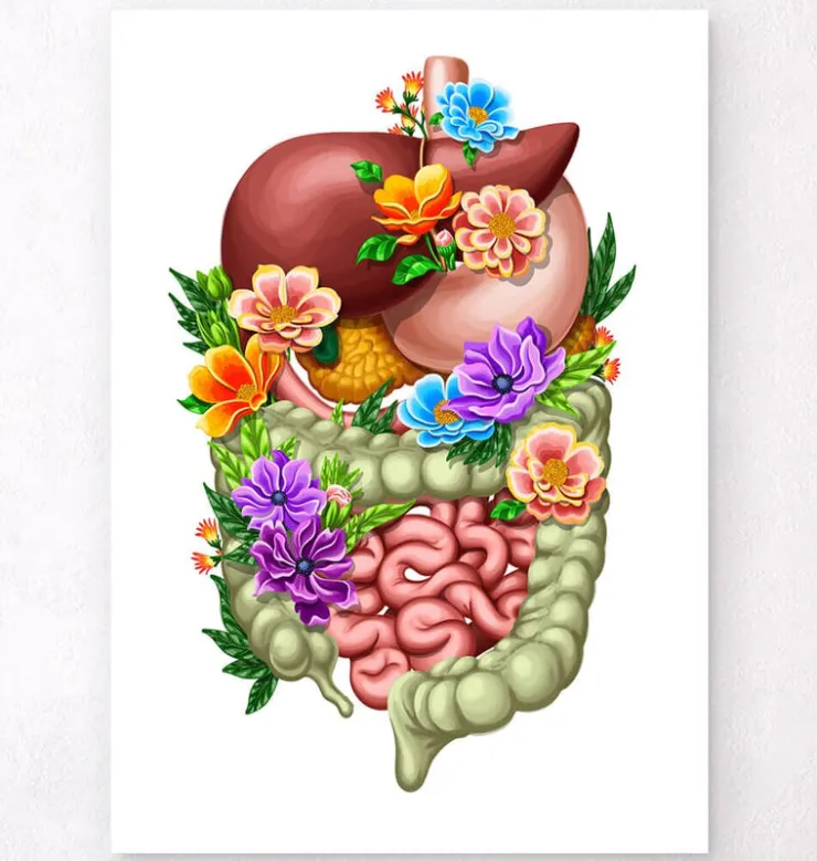 Appareil digestif - Floral - Blanc-Codex Anatomicus Hot