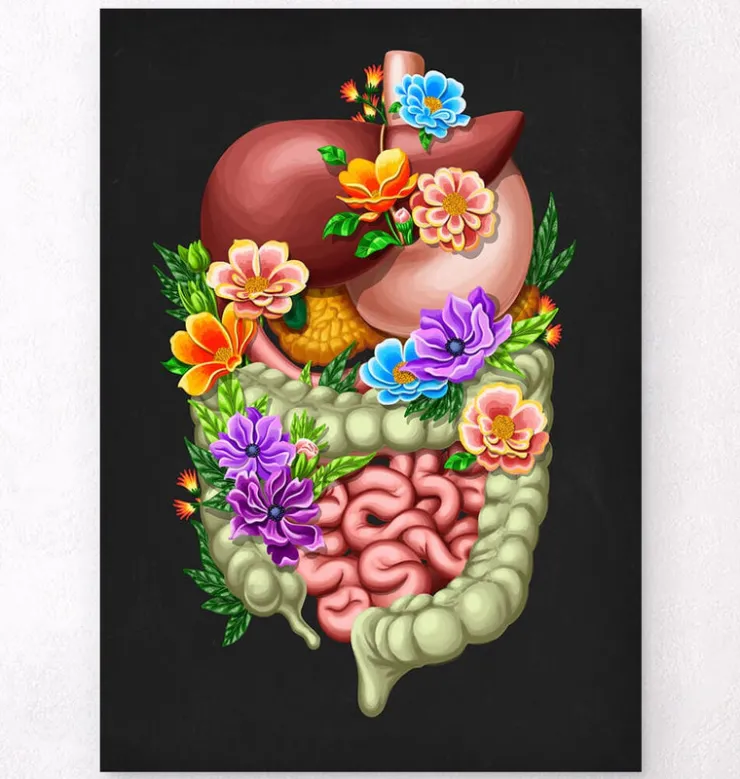 Appareil digestif - Floral - Noir-Codex Anatomicus