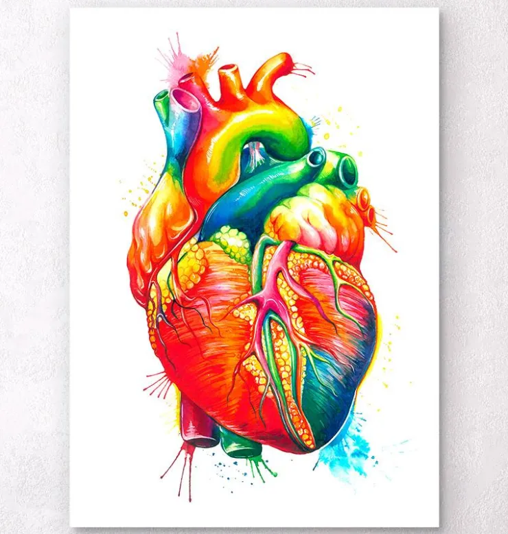 Art coeur anatomique - Aquarelle-Codex Anatomicus New