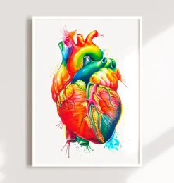 Art coeur anatomique - Aquarelle-Codex Anatomicus New