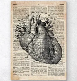 Art d'anatomie cardiaque - Ancien dictionnaire-Codex Anatomicus Clearance